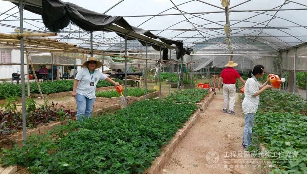 farm9